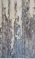 Photo Texture of Wood Planks 0004